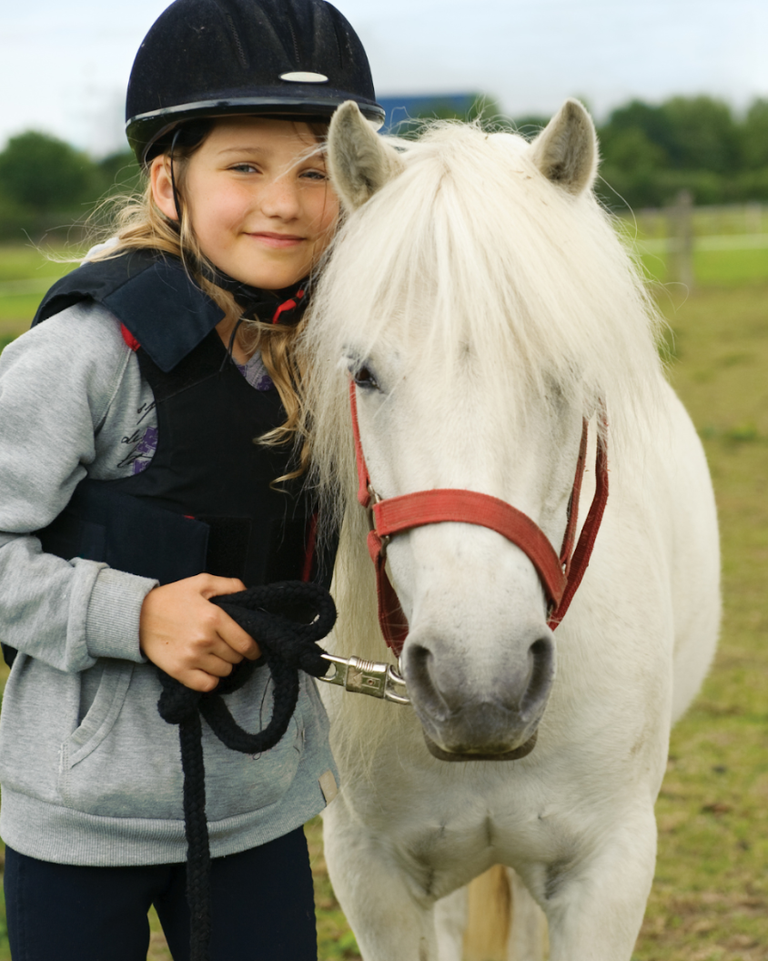 Screenshot 2026 03 19 070126