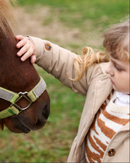 Screenshot 2026 03 19 070138