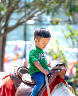 Screenshot 2026 03 19 070148