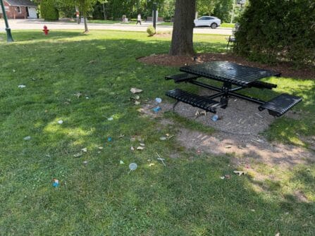 Beyond Littering: Why Vandalism at a Beloved Ho-Ho-Kus Landmark Has Town Leaders Furious 727919201 18114042098491995 2287976766911592306 n