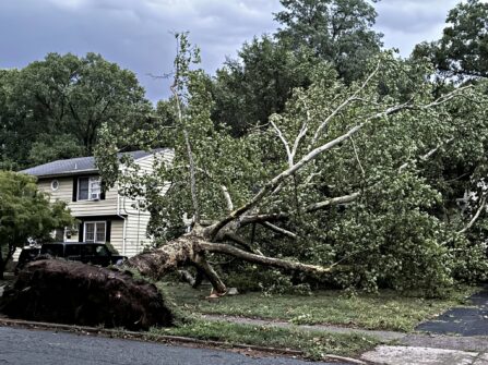 Houses Smashed & Cars Pinned: Inside the Violent July 4th Storm That Left Ridgewood in Chaos 737721930 1673976701397506 7454079949817668621 n