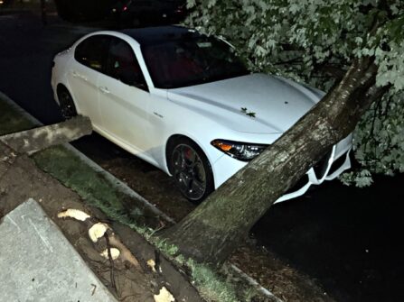 Houses Smashed & Cars Pinned: Inside the Violent July 4th Storm That Left Ridgewood in Chaos 738473252 1673976984730811 765035814679678245 n