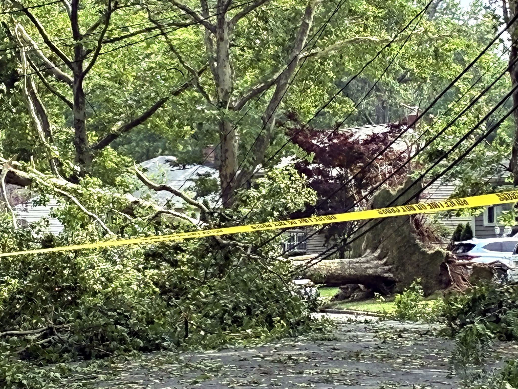 NJ Gov. Mikie Sherrill Links Donald Trump to US World Cup Elimination Amid Local NJ Storm Backlash 738625626 1674740294654480 2825597145078363997 n
