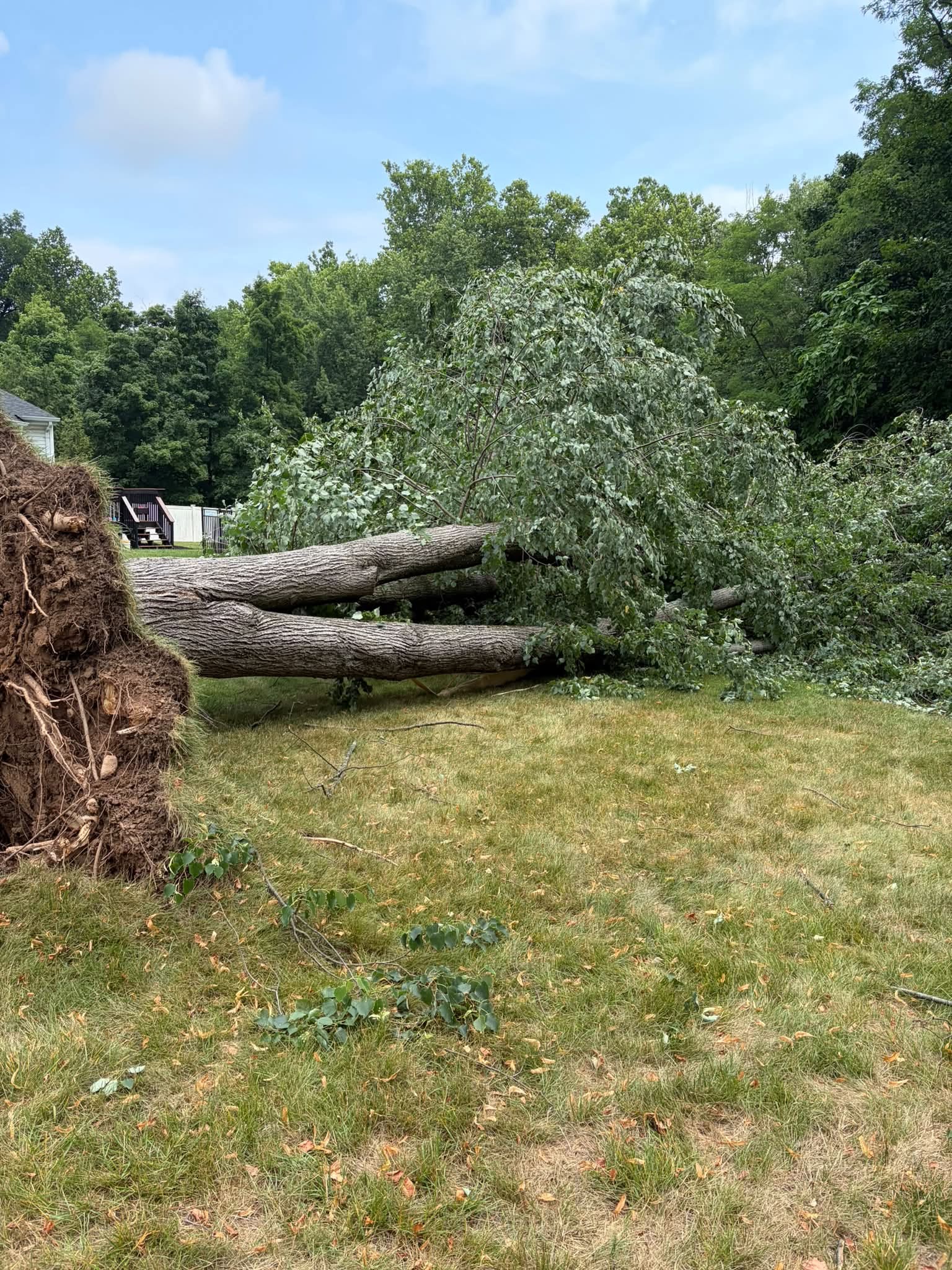When 60+ MPH Winds Met a 100-Degree Heatwave, This Bergen County Town Stood Tall—Here’s Why 743541412 1514960503976952 8566679402506382965 n