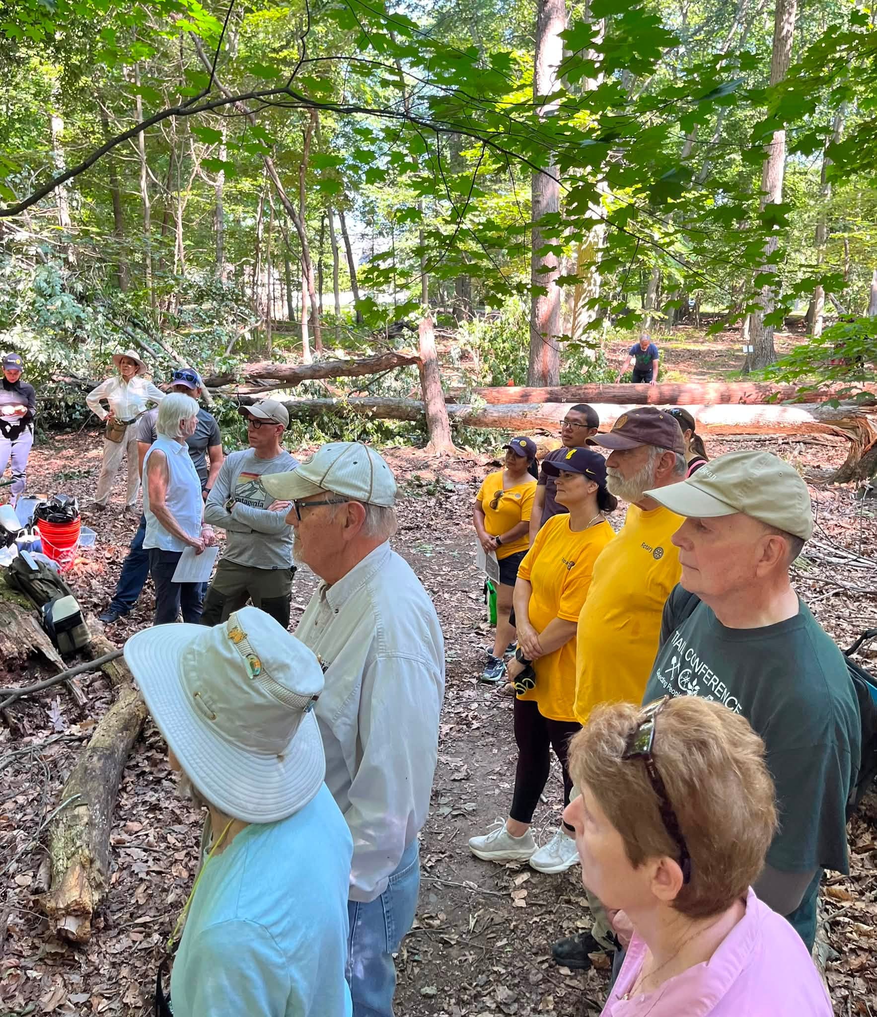 Want to Save Ridgewood's Parks? Here’s How Local Volunteers Are Stepping Up to Protect Village Green Spaces 745810408 1490209626471719 865646892685840761 n