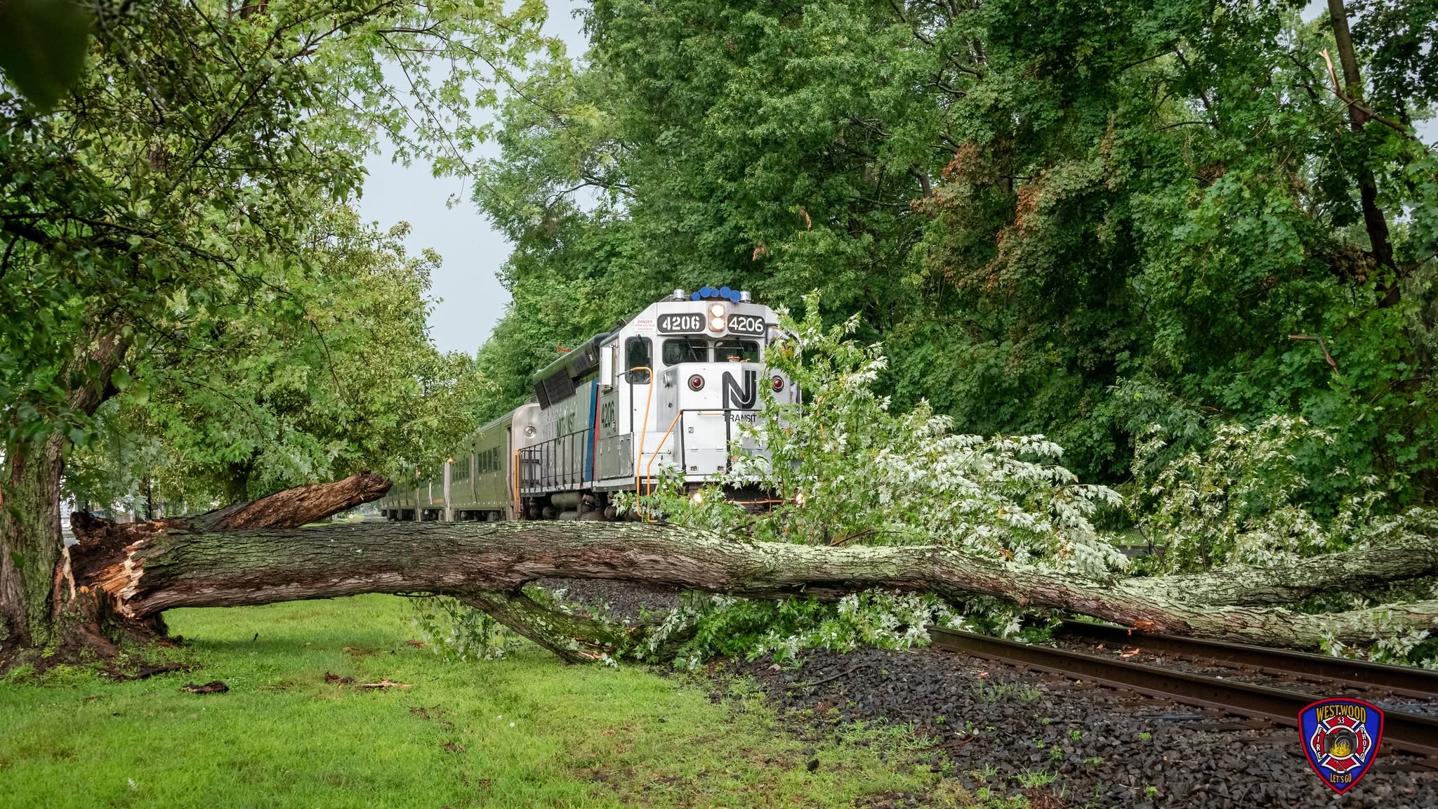 NJ Transit Pascack Valley Line Blocked: Westwood Fire Department Clears Fallen Giant After Severe Storm 759796426 1485176500307058 3695416346515366596 n