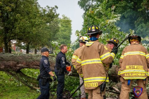 NJ Transit Pascack Valley Line Blocked: Westwood Fire Department Clears Fallen Giant After Severe Storm 759796451 1485176820307026 7709071949789444813 n