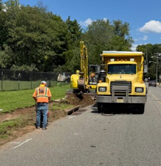 Irreplaceable Trees Cut Down at Citizens Park: Is 14 New Parking Spots Worth the Loss? 775427880 1765245787991485 8072956911382187779 n