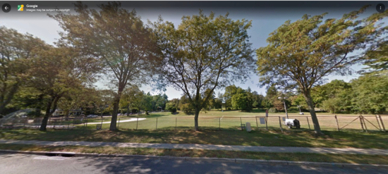 Irreplaceable Trees Cut Down at Citizens Park: Is 14 New Parking Spots Worth the Loss? 778957792 1379777370967568 3305321656606277848 n