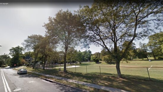 Irreplaceable Trees Cut Down at Citizens Park: Is 14 New Parking Spots Worth the Loss? 778958033 1379777357634236 8596496723016125305 n