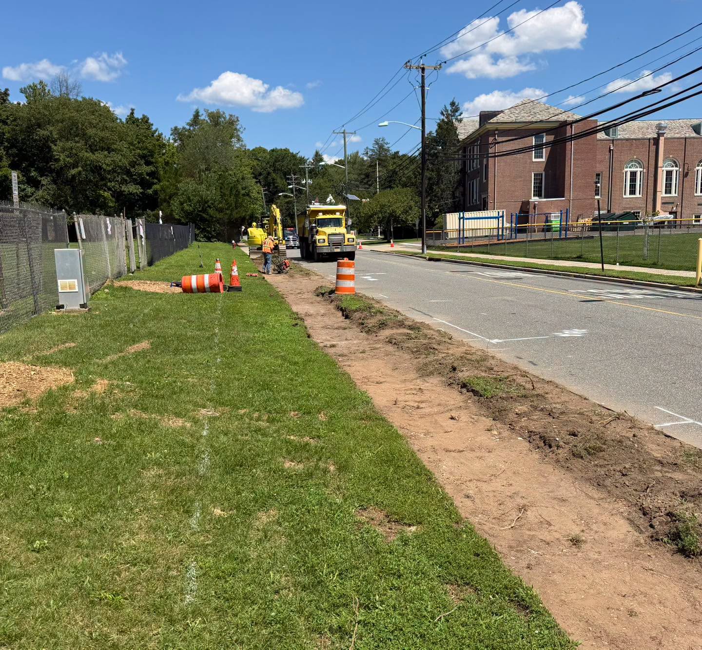 Irreplaceable Trees Cut Down at Citizens Park: Is 14 New Parking Spots Worth the Loss? 780380856 3591947714288490 7885797080289008857 n