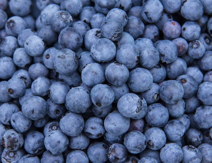 Key Quality Indicators to Check in Blueberry-Flavored Cannabis Screenshot 2026 08 04 092455