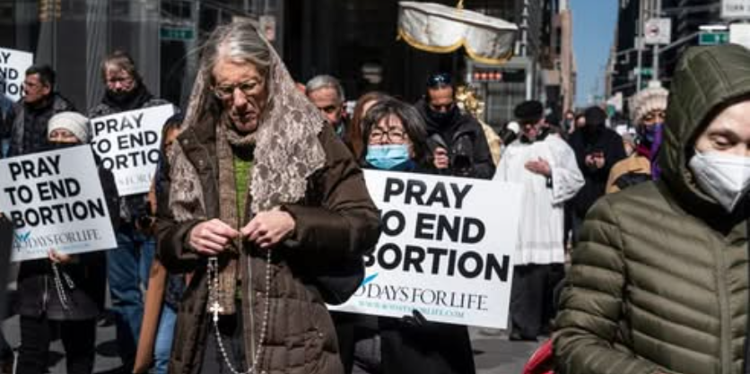 'A Blank Check for the Abortion Industry': NJ Pro-Life Group Slams New Immunity Law Screenshot 2026 08 25 065359