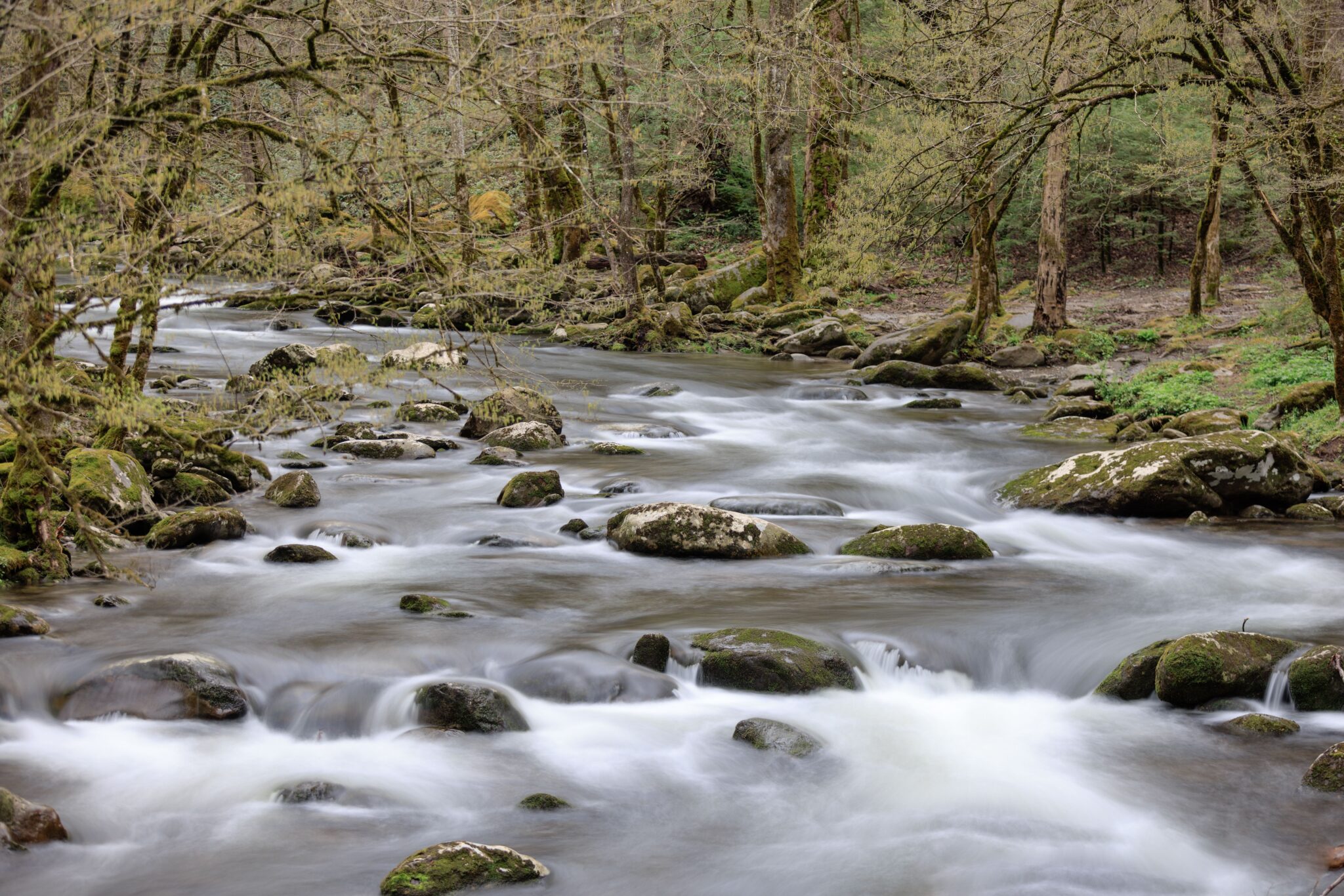 A Guide to Visiting the Rivers of East Tennessee pexels philevenphotos 31498207 scaled