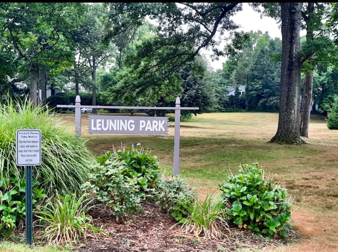 Turn Leuning Park Into a Sports Field? Ridgewood Proposal Sparks Heated Community Debate 800484483 3985992071696286 870054228979867073 n