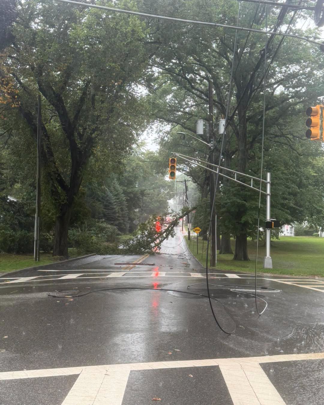 Flash Flooding & Power Outages Hit North Jersey: Tree Limb Takes Down Lines in Ridgewood 806514606 4450783121916722 676087001648924291 n